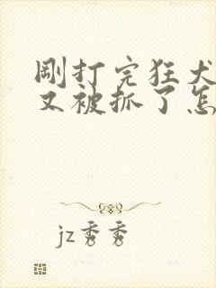 刚打完狂犬疫苗又被抓了怎么办