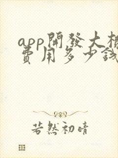 app开发大概费用多少钱合适