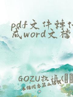 pdf文件转化成word文档