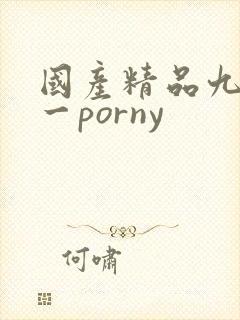 国产精品九色九一porny