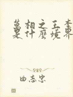 万相之王李天王是什么境界