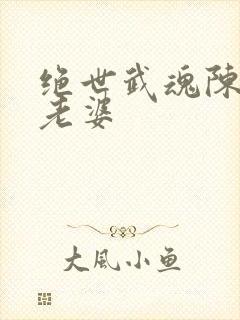 绝世武魂陈枫的老婆