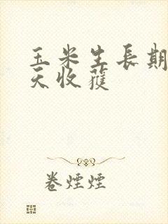 玉米生长期多少天收获