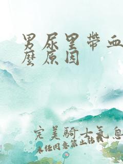 男尿里带血是什么原因