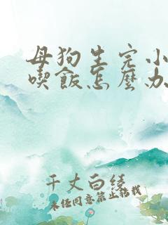 母狗生完小狗不吃饭怎么办呢
