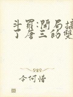 斗罗:开局搞没了唐三的双生武魂小说