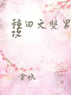 种田文双男主主攻