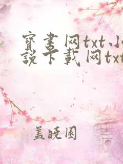 宝书网txt小说下载网txt