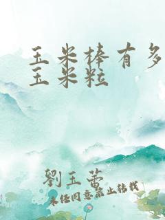 玉米棒有多少颗玉米粒