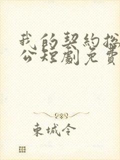 我的契约总裁老公短剧免费观看高清