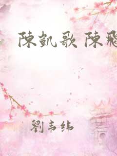 陈凯歌 陈飞宇