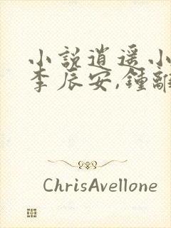 小说逍遥小贵婿李辰安,钟离若水