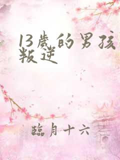 13岁的男孩子叛逆