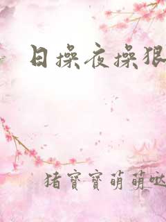 日操夜操狠狠操