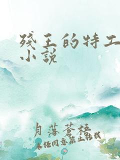 残王的特工宠妃小说