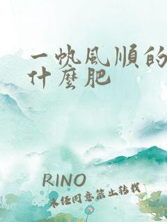 一帆风顺的花施什么肥