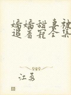 娇娇甜妻被全家追着宠全集