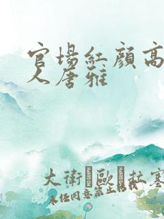 官场红颜高官夫人唐雅