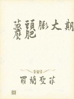葱头膨大期施什么肥
