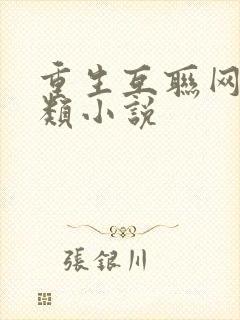 重生互联网创业类小说