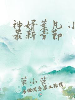 神婿叶凡 小说最新章节