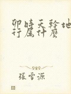 卯时天干地支五行属什么