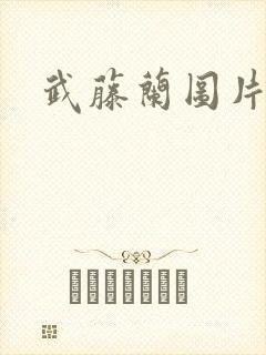 武藤兰图片