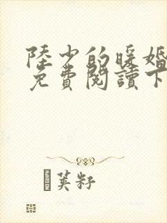 陆少的暖婚新妻免费阅读下载