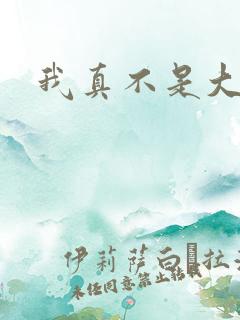 我真不是大明星