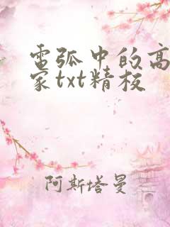 电弧中的高级玩家txt精校