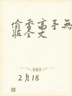 偷香高手无删减版全文