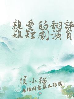 亲爱的翻译官小姐短剧演员表