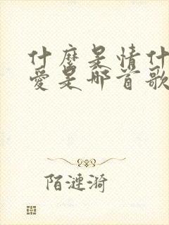 什么是情什么是爱是哪首歌的歌词
