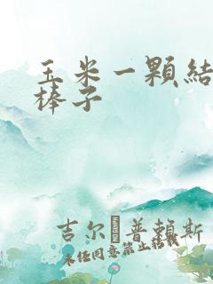 玉米一颗结几个棒子