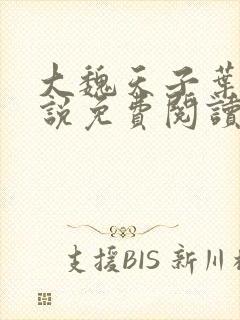 大魏天子叶离小说免费阅读无弹窗