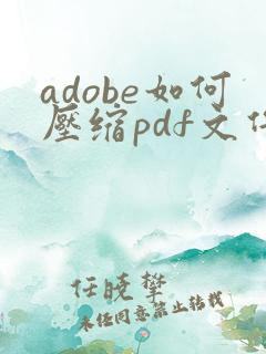 adobe如何压缩pdf文件大小在2m以内