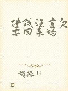 借钱没有欠条能要回来吗