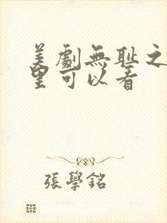 美剧无耻之徒哪里可以看