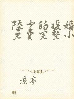 陆少的暖婚新妻免费完整小说