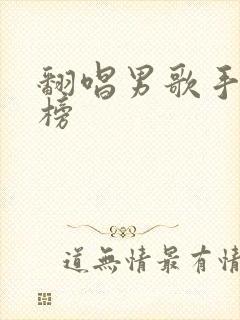 翻唱男歌手排行榜