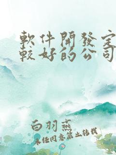 软件开发定制比较好的公司