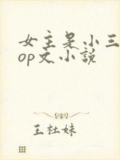 女主是小三的pop文小说