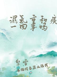 湿气重和痰湿是一回事吗