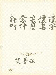 许念宋怀瑾小说叫什么名字啊