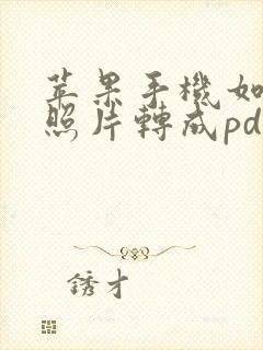 苹果手机如何将照片转成pdf格式