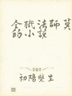 全职法师莫凡受的小说