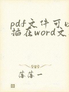 pdf文件可以插在word文档里面吗