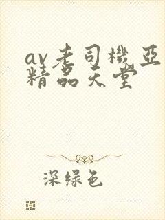 av老司机亚洲精品天堂