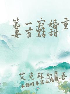 第一宠婚重生娇妻有点甜