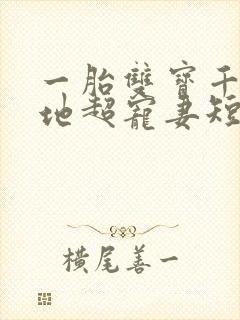 一胎双宝千亿爹地超宠妻短剧